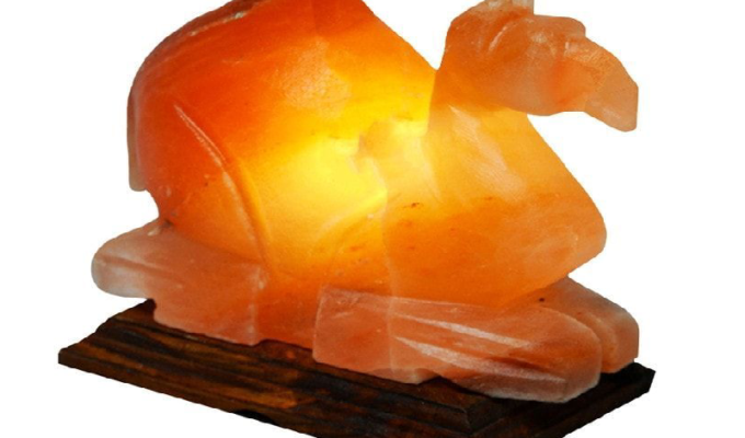 Camel Salt Lamp (HandiCraft)