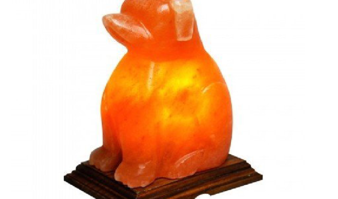 Dog Salt Lamp (HandiCraft)