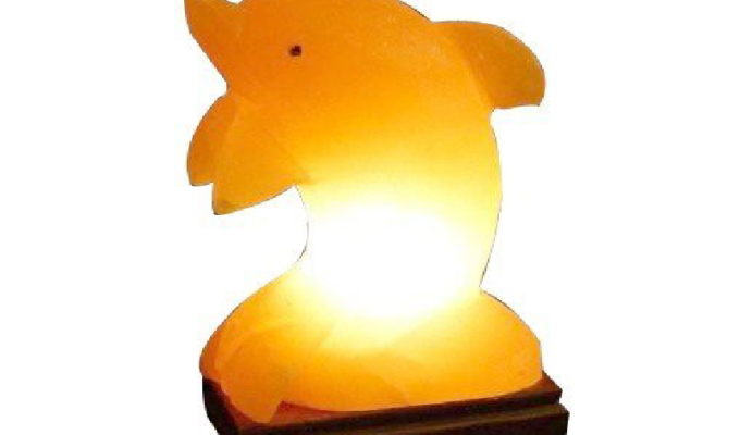 Dolphin Salt Lamp (HandiCraft)