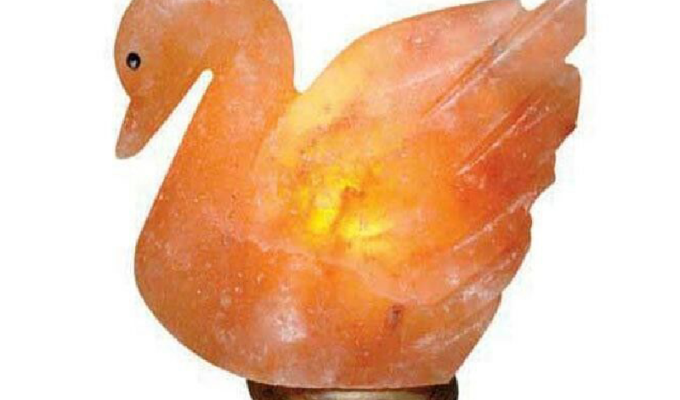 Duck Salt Lamp (HandiCraft)