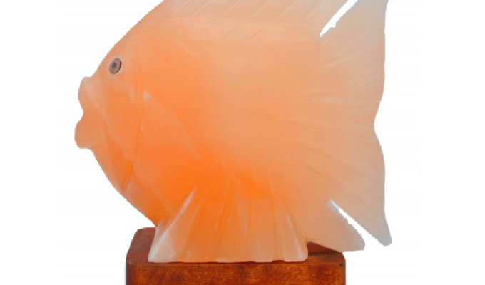 Fish Salt Lamp (HandiCraft)