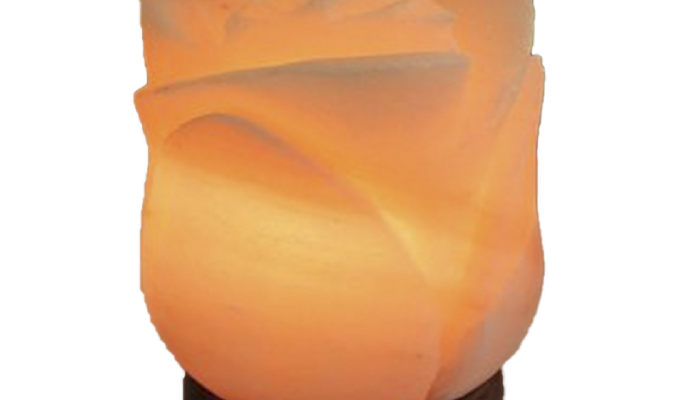 Flower Salt Lamp (Crafted)