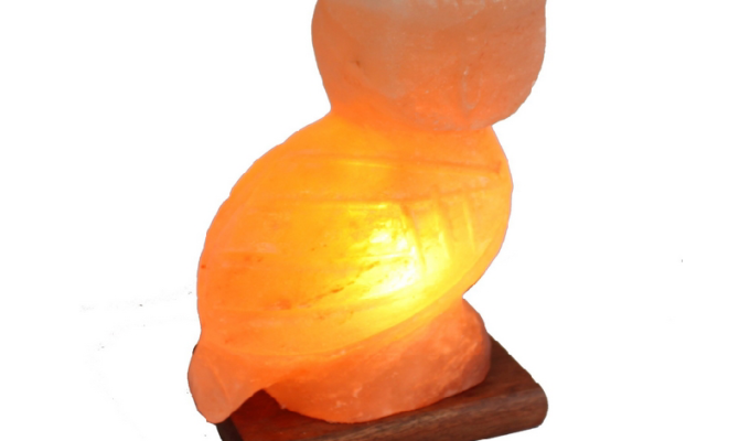 Owl Salt Lamp (HandiCraft)