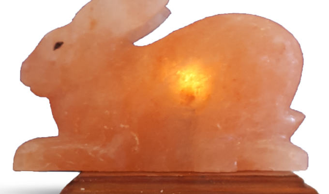 Rabbit Salt Lamp (HandiCraft)