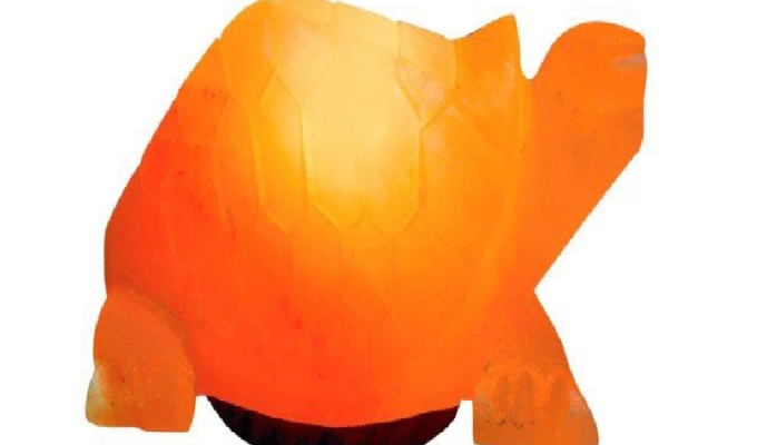 Turtle Salt Lamp (HandiCraft)